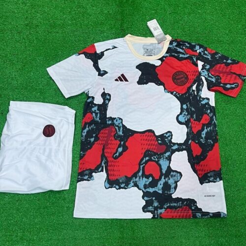 PDFReader_Convert_20250728_120750_5 Bayern Munich Pre-Match 24-25 master